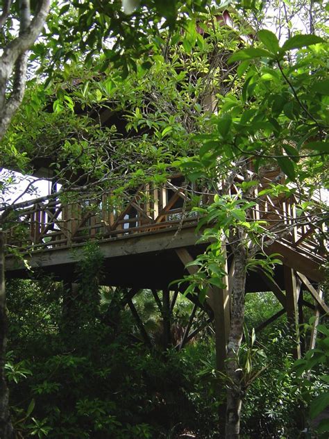 Belize Treehouse Rooms At Hamanasi Belize Hotels Belize Vacations