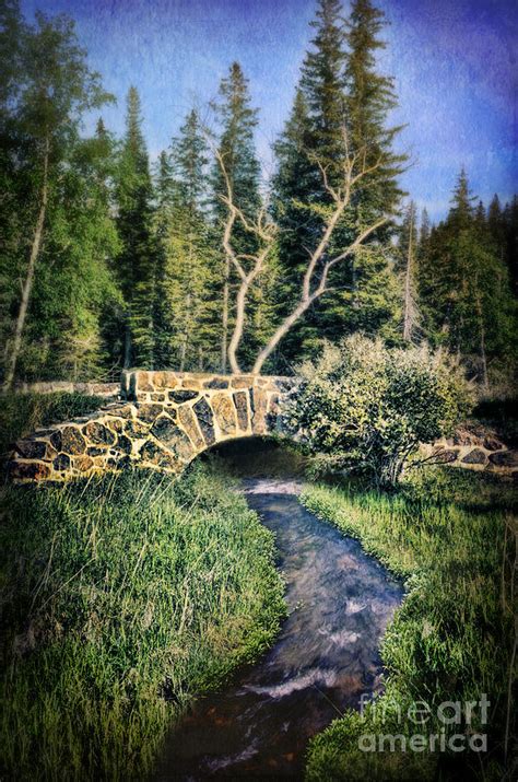 Stone Bridge Over A Stream Photograph By Jill Battaglia