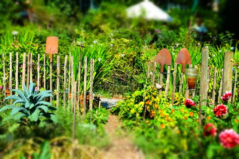 Maybe you would like to learn more about one of these? Hermann Hesse am Bodensee - Die Kunst des entspannten ...