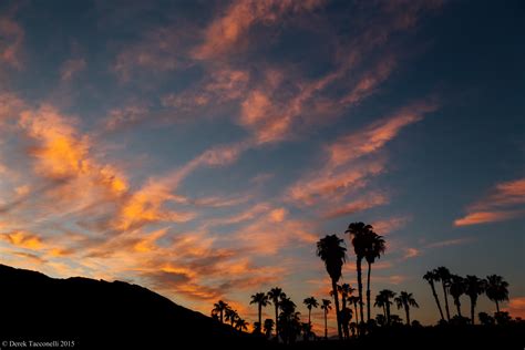 Palm Springs Sunset Super Clouds Palm Tree Silhouettes 5439 X