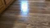 Groutless Tile Floors Images