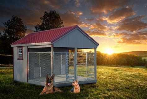30 Best Outdoor Dog Kennels 2021 Reviews® Updated Guide Dog Kennel