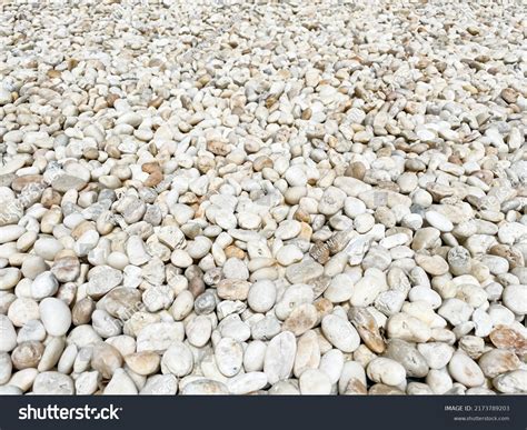 White Pebble Stone Texture On Ground Stock Photo 2173789203 Shutterstock