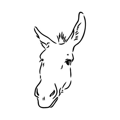 Donkey Vector Sketch 36380012 Vector Art At Vecteezy