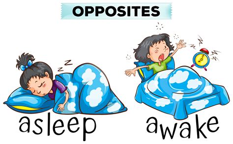 Opposite words for asleep and awake 299697 Vector Art at Vecteezy