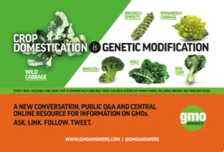 Different crop modification techniques can have the same end result. I Have a Dream: Organic Movements Include Gene ...