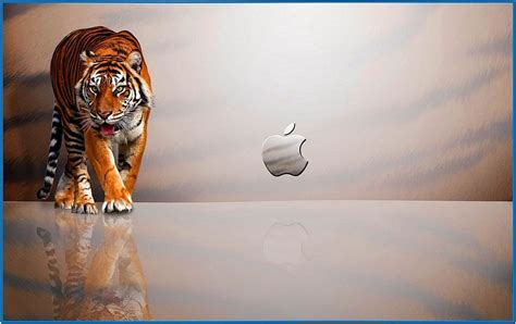 Mac Os X Leopard Screensaver Windows Download Screensaversbiz