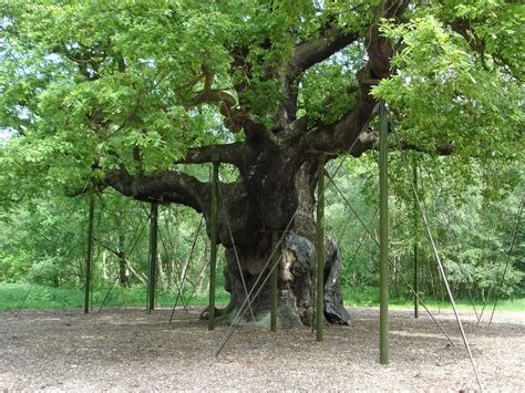 גלעד שרון שהגיע לטקס עם בתו טליה היה נרגש וזכה לקבלת פנים חמה מילדי בית הספר.אבא שלי לא היה תלמיד מי. גלעד שרון מצטרף לקדימה, אורי ברעם מתחרט | העין השביעית