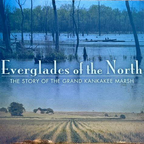 Everglades Of The North Documentary From Lakeshore Pbs Dvd Native