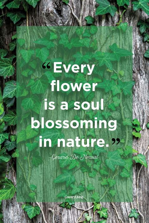 25 Best Nature Quotes Inspirational Sayings About Nature