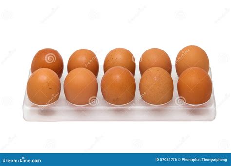 10 Chicken Eggs In Egg Tray Stock Photo Image Of Nature Breakfast
