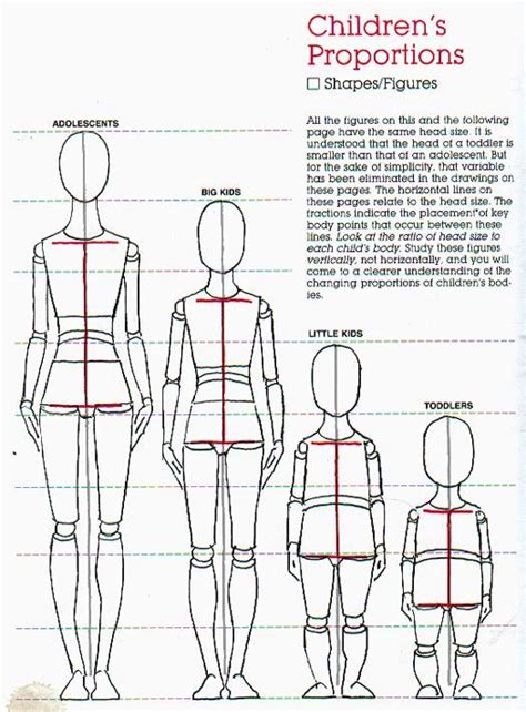 How To Draw Child Proportions Askworksheet