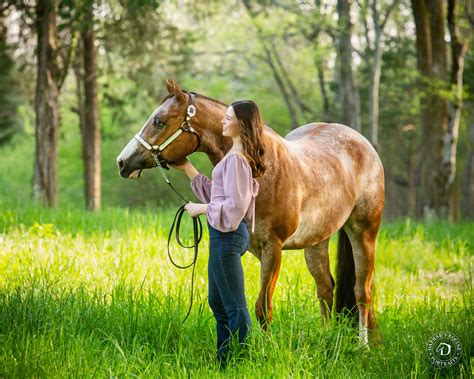 Daphne's Equine Portraits | Clarksville & Nashville Tennessee