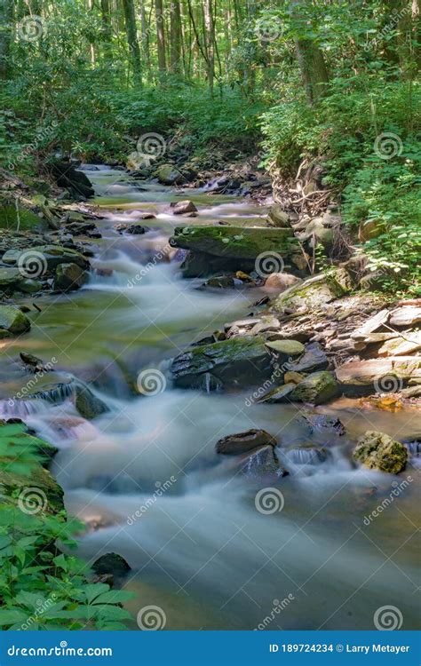 Wild Trout Stream In The Blue Ridge Mountains Stock Photo Image Of