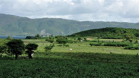 Whether i am in a big urban city like delhi or in the countryside of ethiopia and most recently haiti a few months ago, i was in haiti to see the work of heart of haiti's artisans. Haiti South