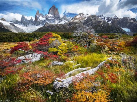 Mt Fitz Roy In Colorful Autumn Vegetation In Patagonia Argentina