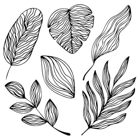 Premium Vector Tropical Leaves In Doodle Style Vector Illustration