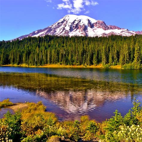 Mount Rainier Parque Nacional Monte Rainier Lo Que Se Debe Saber
