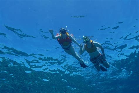 Barrier Reef Snorkel Grand Cayman Cayman Islands Grand Cayman