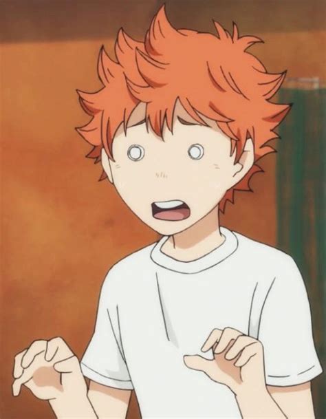 Search, discover and share your favorite hinata shoyo haikyuu gifs. Pin on Soft Anime Bois