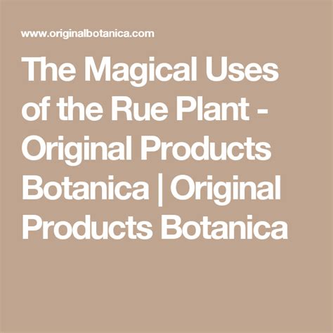 The Magical Uses Of The Rue Plant Original Products Botanica