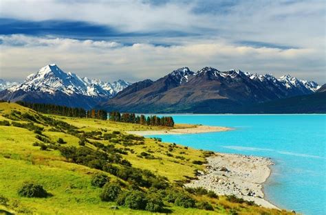 Lake Pukaki Christchurch Tickets And Tours 2024