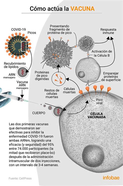 La esclerosis múltiple es una enfermedad del sistema nervioso central y actualmente es de las primera causas de discapacidad en jóvenes adultos. Cuál es el aporte de las vacunas genéticas para la cura ...