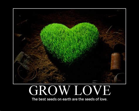 Quotes About Growth And Seeds Quotesgram