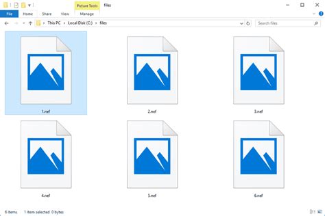 Nef File What It Is And How To Open One