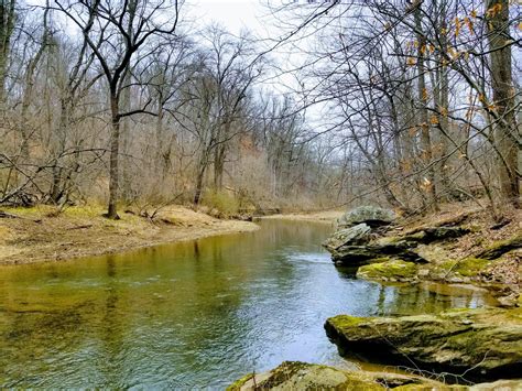 Early Spring In The Pennsylvania Woods Oc 4032x3024 Scenery