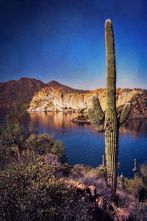 Arizona Lakeside Photograph By Saija Lehtonen Fine Art America