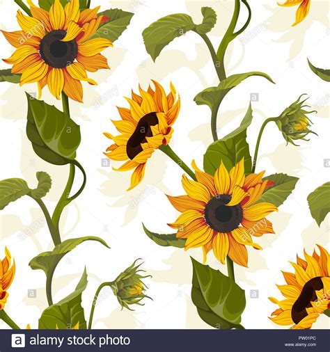 My first trial with the new iphone xs camera was on these sunflowers. DAWUH MBAH MOEN: Checkered Sunflower Wallpaper