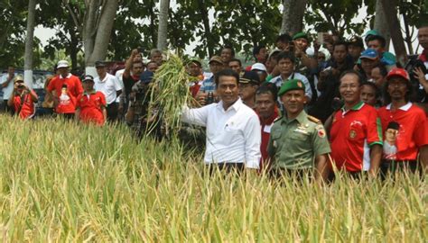 Lowongan kerja kabupaten ngawi terbaru april 2021. Menteri Pertanian Panen Raya Padi di Ngawi - Foto Tempo.co