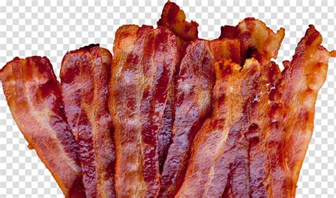 Bacon Bacon Transparent Background PNG Clipart HiClipart