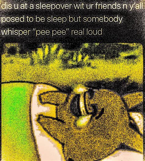 Pee Pee Deep Fried Memes Know Your Meme