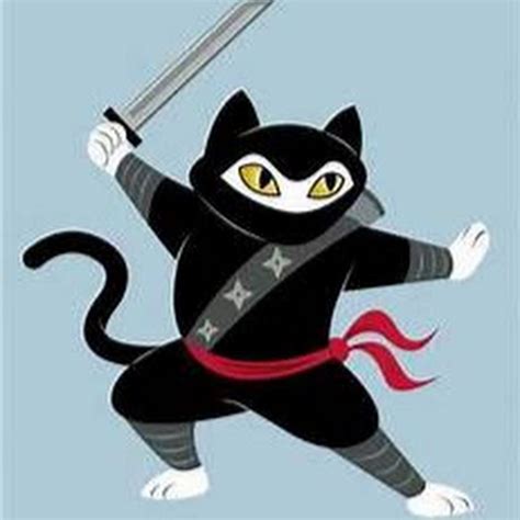 Ninja Cat Youtube