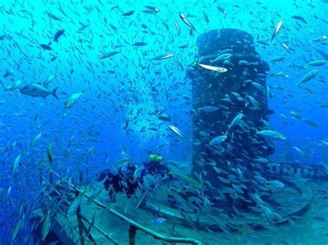 Florida Wreck Dives Usns General Hoyt S Vandenberg Stories