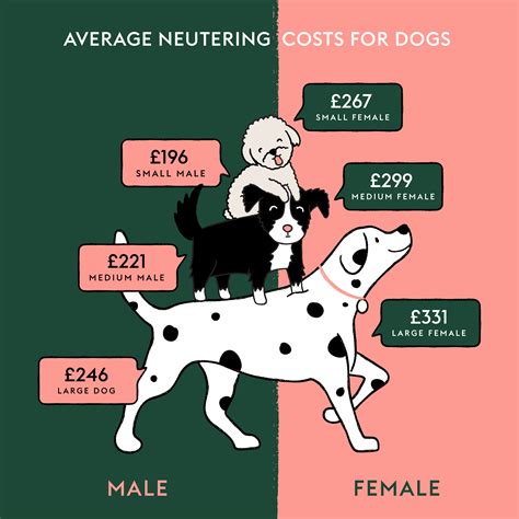 How Much Does It Cost To Neuter A Dog In The Uk?