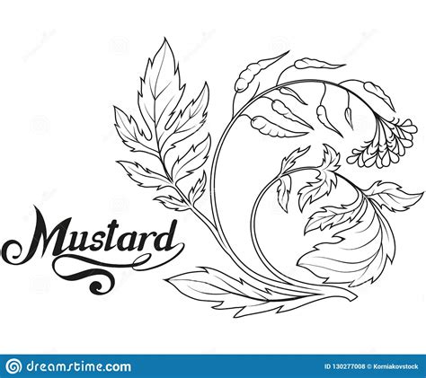 Hand Drawn Mustard Plant Spicy Ingredient Mustard Logo