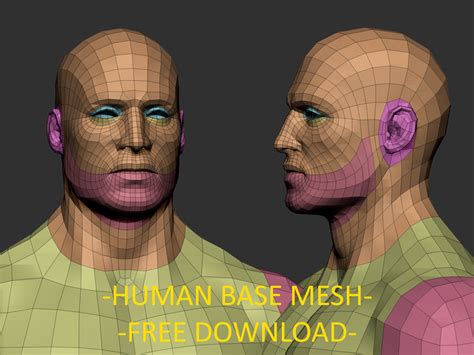 Artstation Human Base Mesh Free Download Resources