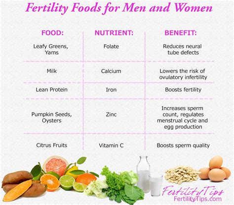 Foods That Help Increase Fertility Fertility Diet Fertility Boost Nutrient
