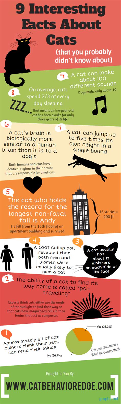 Fun shark facts for kids including photos and printable activity worksheets; 9 Amazing Facts About Cats - Infographics | Graphs.net