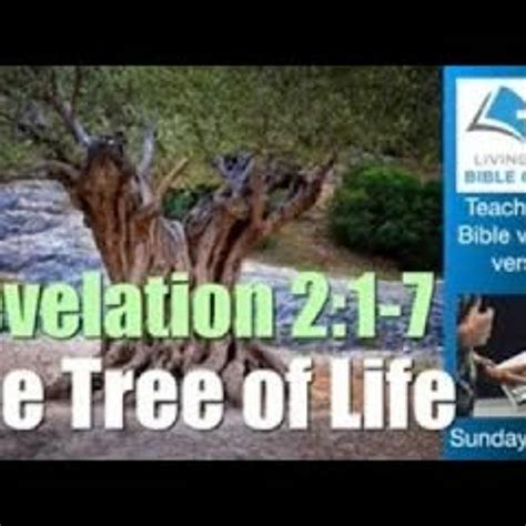 The Tree Of Life Revelation 21 7 Sunday Service Live Stream 1030am