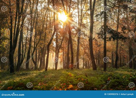 Colorful Autumn Landscape Stock Photo Image Of Light 130990376