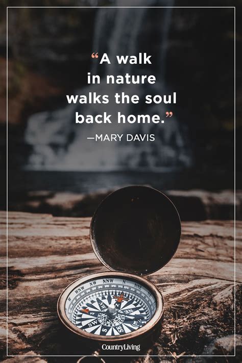 25 Hiking Quotes That Will Inspire Your Next Adventure Nature Quotes