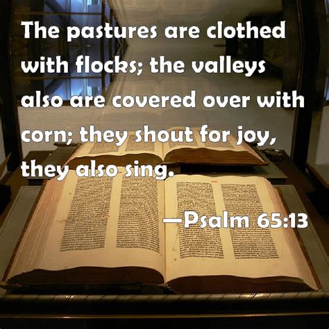 Psalm 6513 The Pastures Are Clothed With Flocks The Valleys Also Are