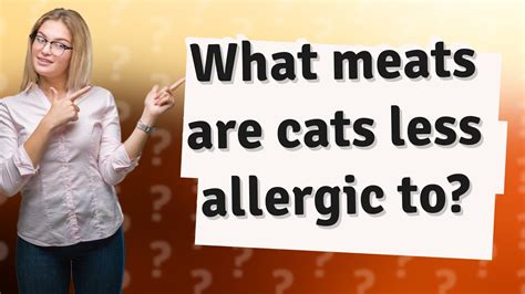 What Meats Are Cats Less Allergic To Youtube