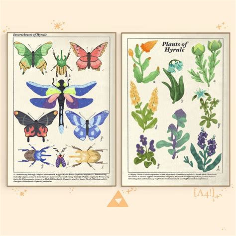 Zelda Botw Plants And Insects Of Hyrule Print A4 Biological Etsy