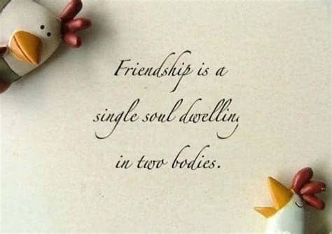 The 30 second whatsapp video status also helps you to share them quickly on whatsapp. {Best} Happy Friendship Day Quotes 2019 (Hindi, English ...