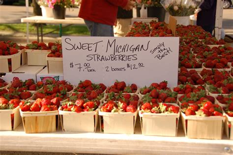 farmers_market_strawberries - West of the Loop